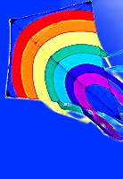 kite